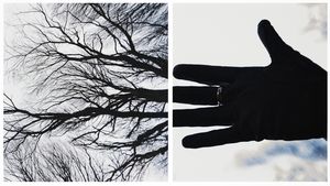 творчество-654