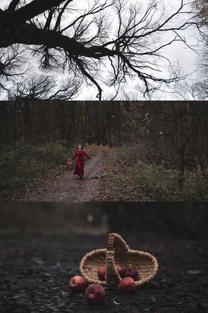 творчество-652